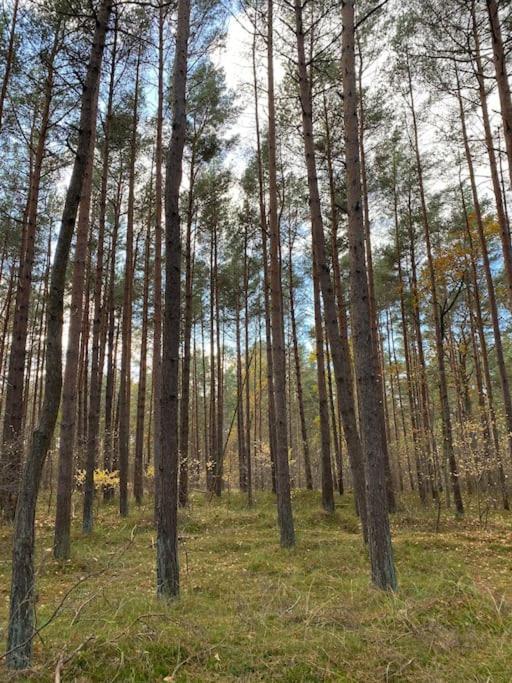 Ferienwohnung Fuer Naturliebhaber Peenemunde Bagian luar foto